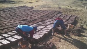 Preparing_adobe_bricks_to_build_the_Alma_library[1]